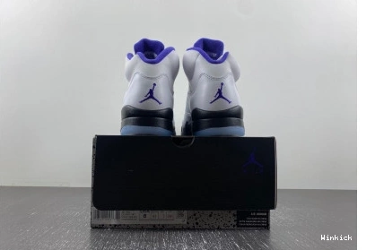 Retro Dark 5 Concord Jordan 0802